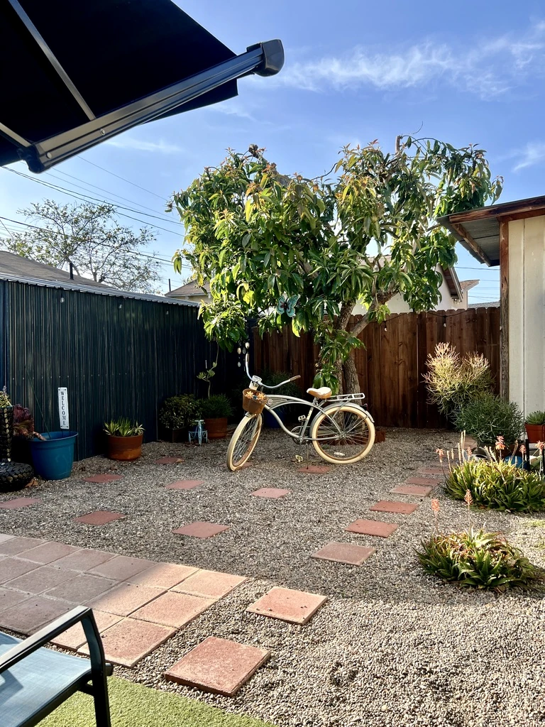 The garden with gravel paths, stepping stones, and plants